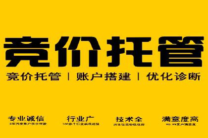 行业领先企业如何通过网络推广实现竞价增长